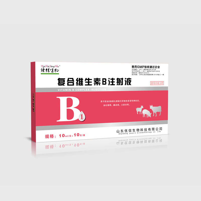 复合维生素b